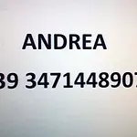 Mansarda Nizza Tre